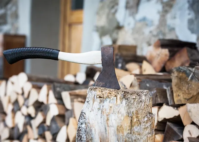 Semesterbostad Moser *